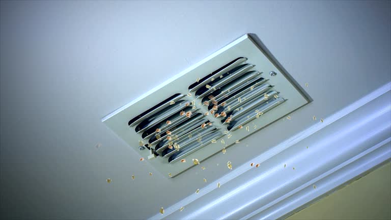 Best Affordable Air Duct Cleaning  in Covedale, OH